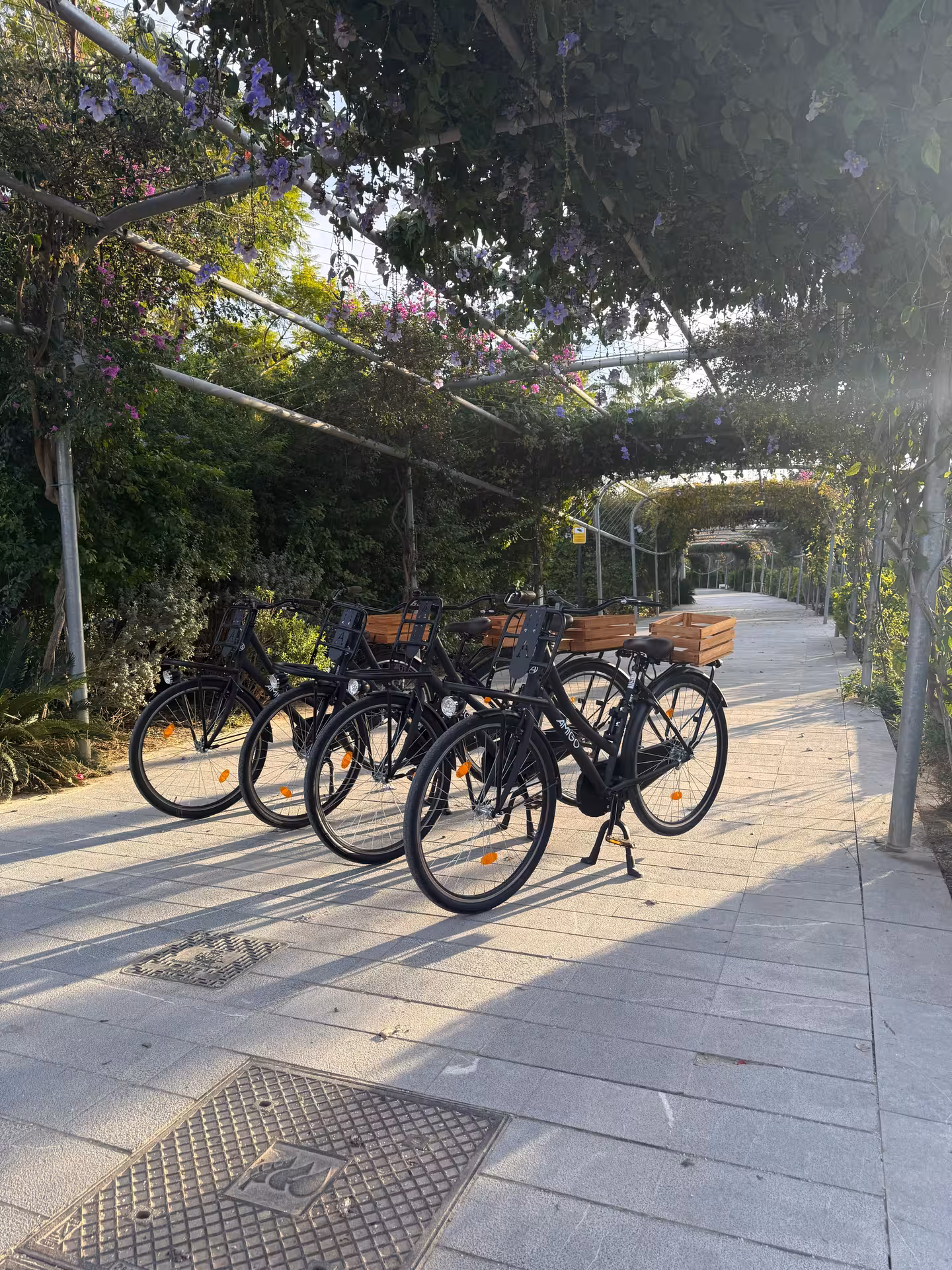 Dutch-style Omafiets city bikes lined up under a flowered pergola, perfect for affordable city bike rental from €10