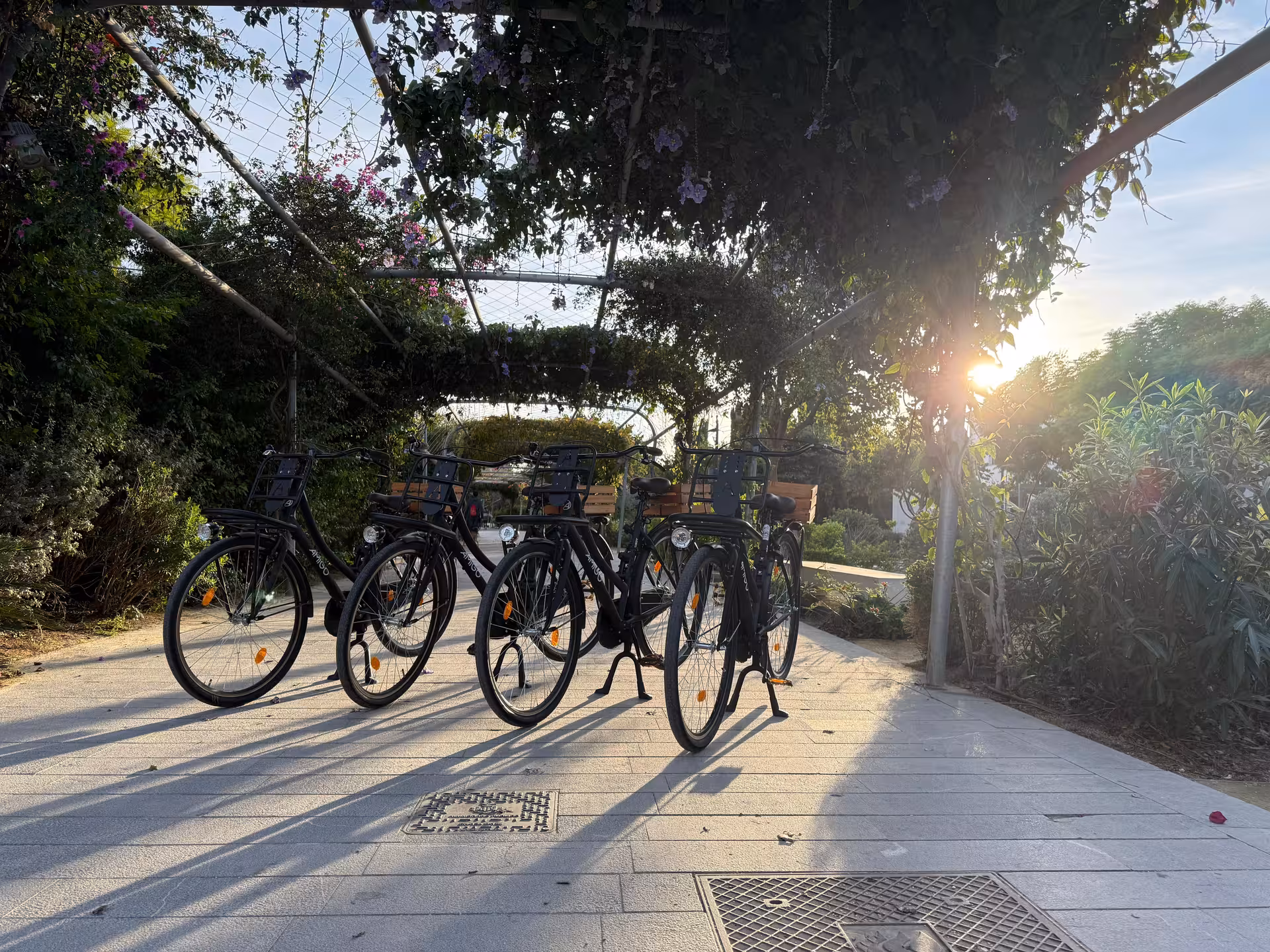Row of Dutch Omafiets city bikes for rental at sunset in a garden walkway, ideal for relaxed urban rides