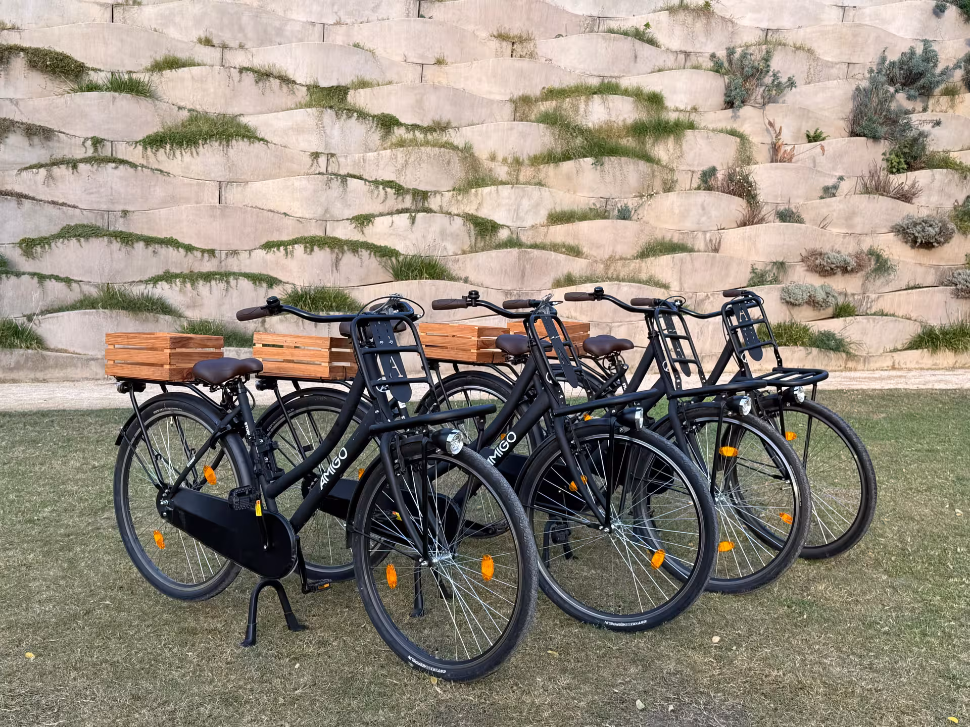 Fleet of Dutch-style Omafiets city bikes with wooden rear crates, ready for comfortable city bike rental from €10