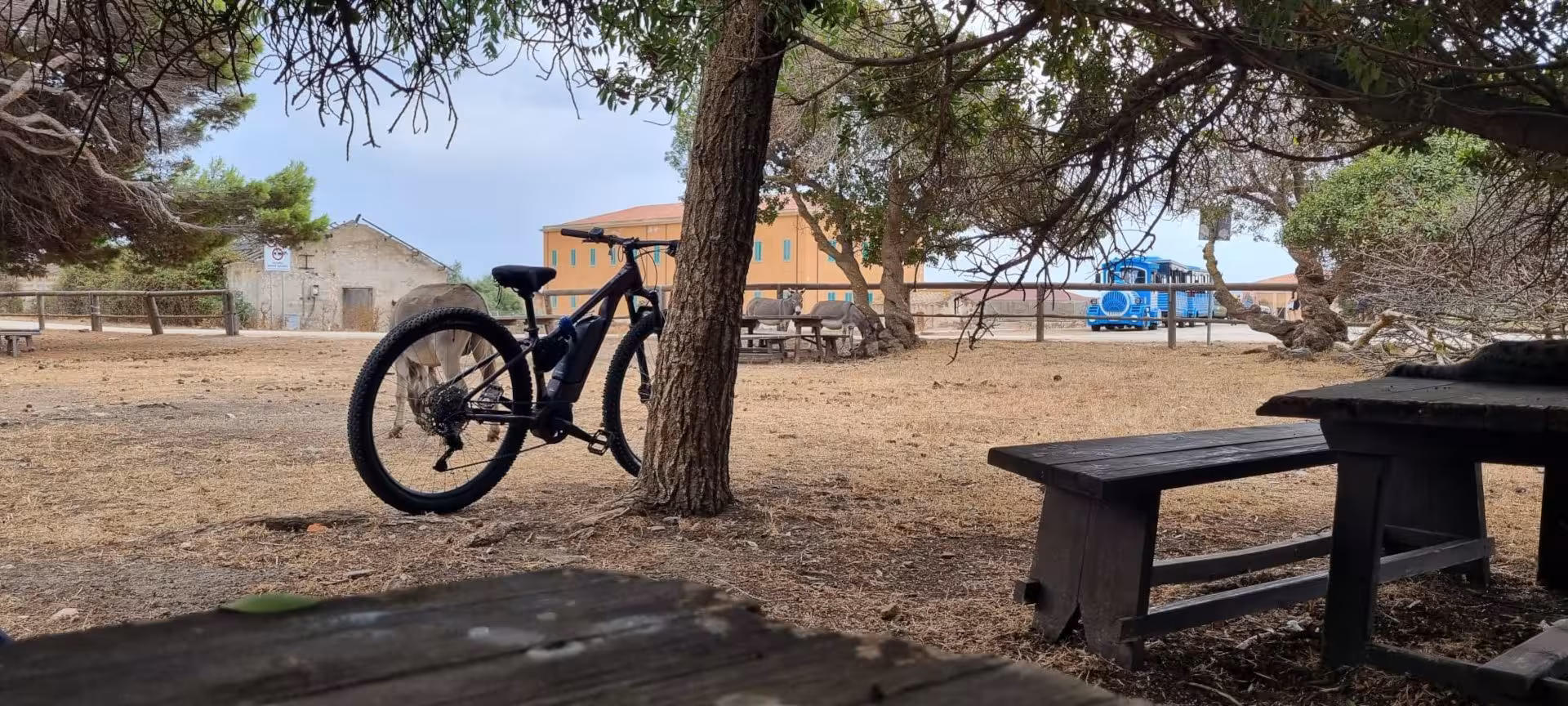 E-bike parked under a tree near Asinara's historic buildings, perfect for a Porto Torres adventure.