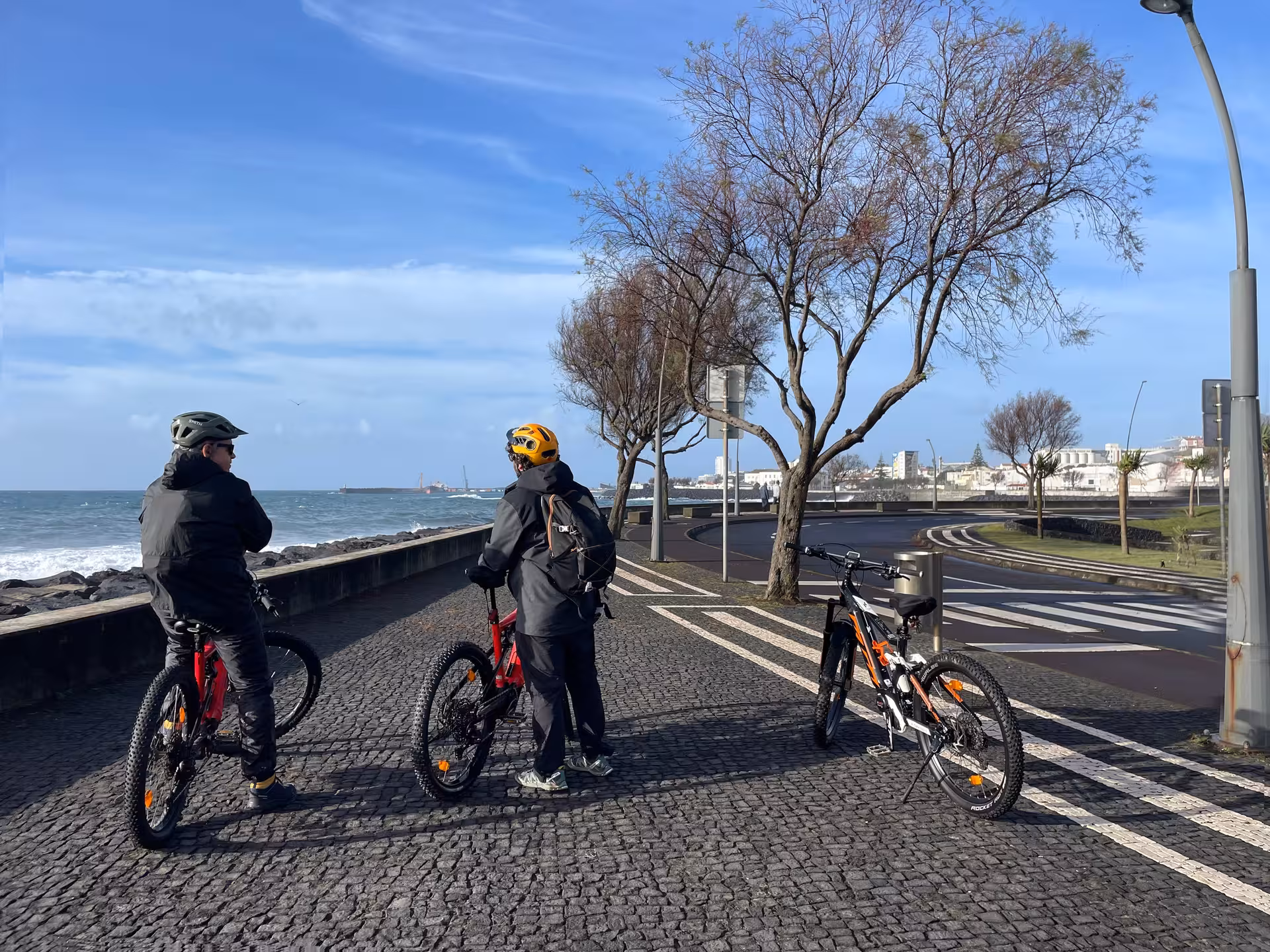 Two riders pause on an e-bike guided city tour along a scenic waterfront promenade with ocean views and curving city streets