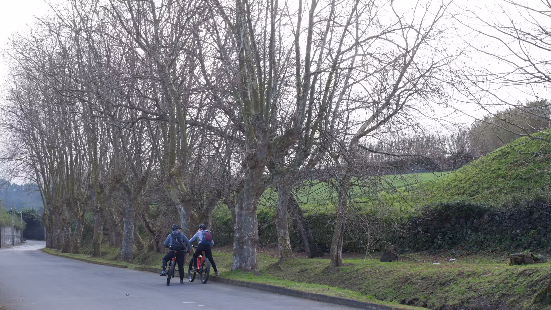 Two cyclists on an e-bike tour ride a quiet tree-lined road through the lush green countryside near Ribeira Grande, Azores
