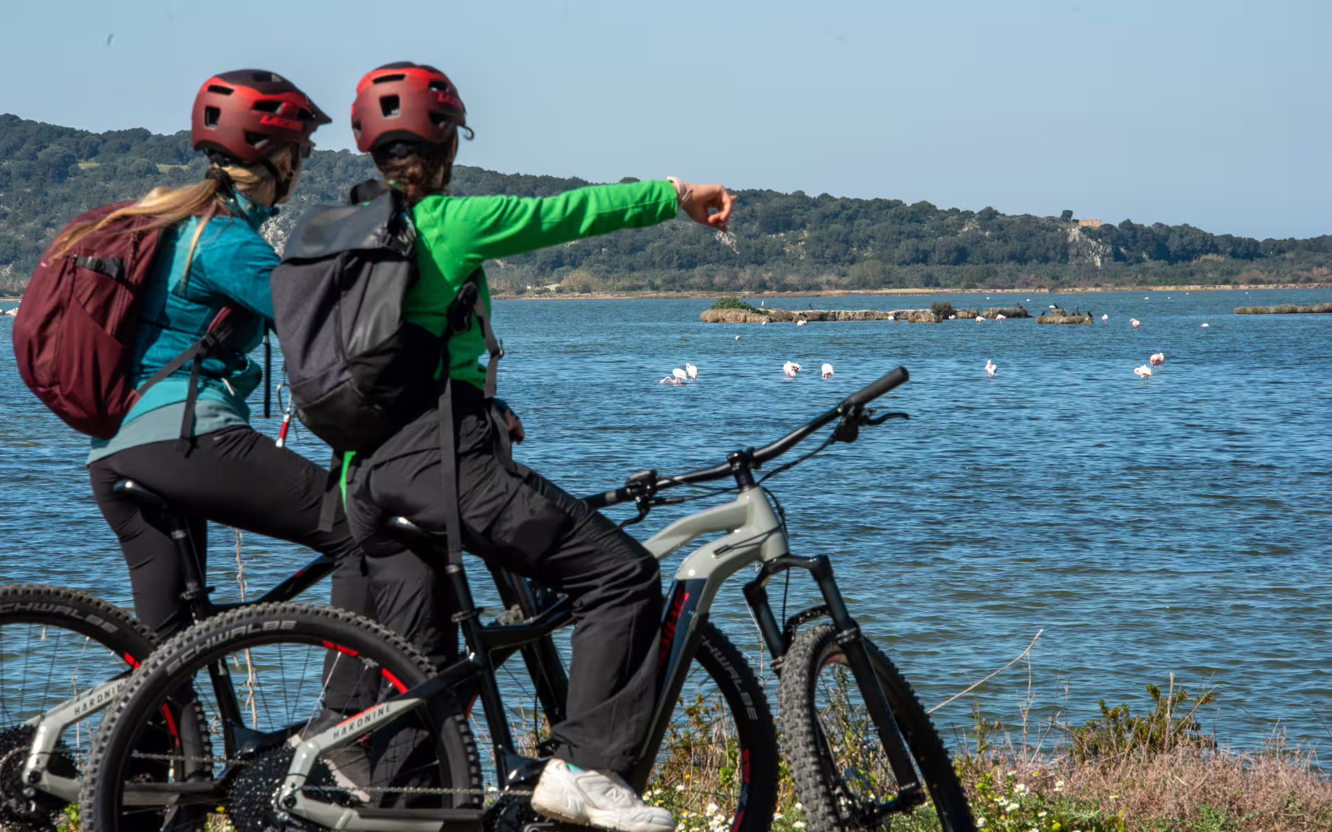 E-bike riders on Navarino Trail overlooking Gialova Lagoon, spotting flamingos on a Messinia nature ride