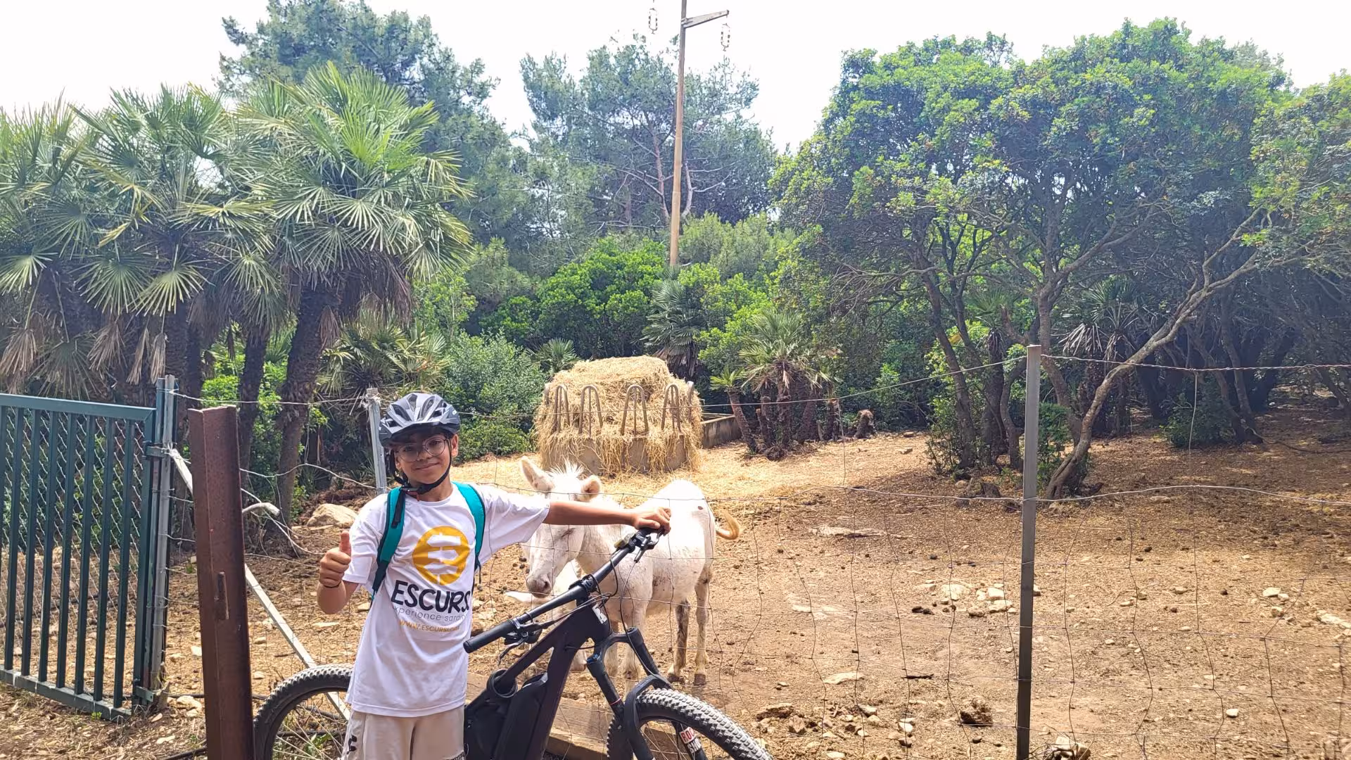 E-bike rider posing with a donkey in the lush greenery of Alghero's Porto Conte Park.