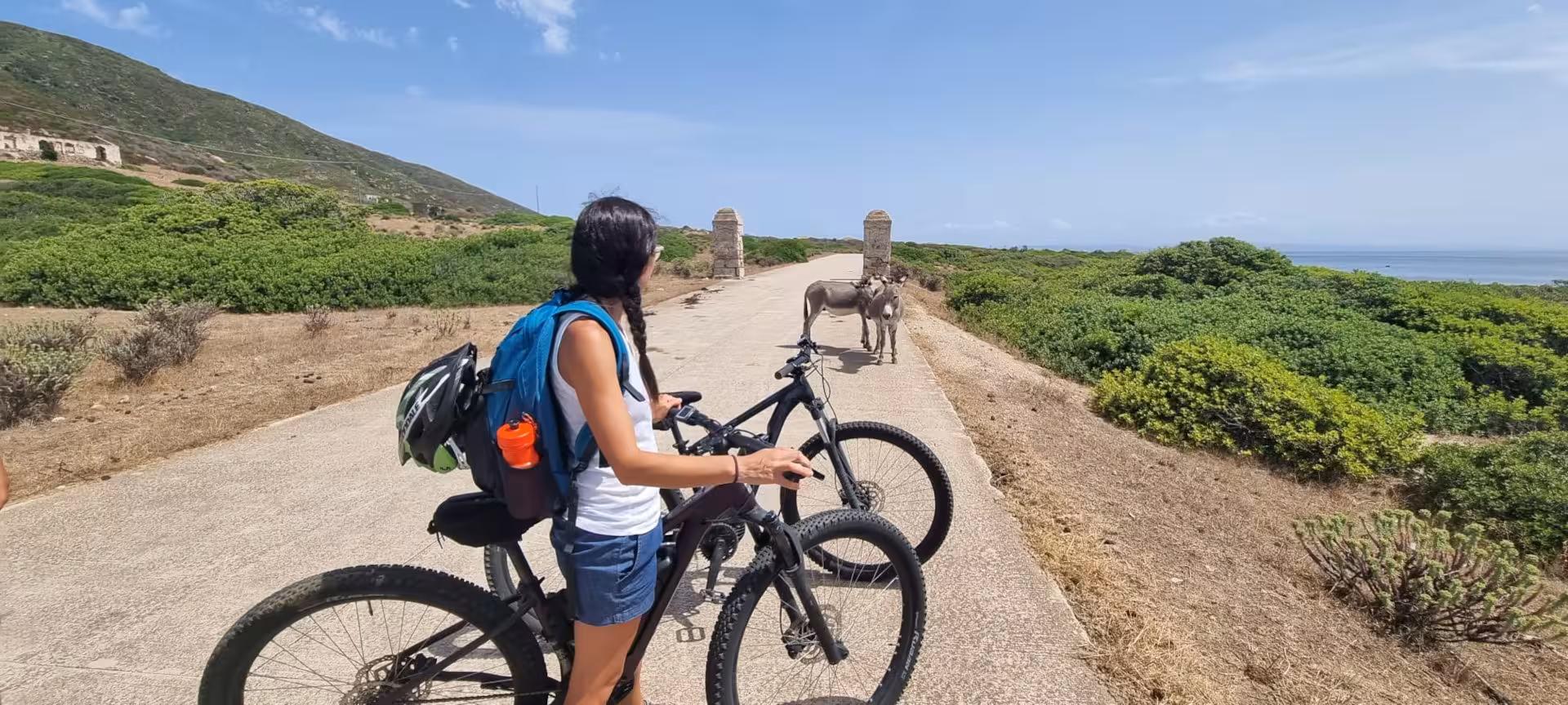 Cyclist pauses on Asinara path to observe donkeys during e-bike tour from Porto Torres.