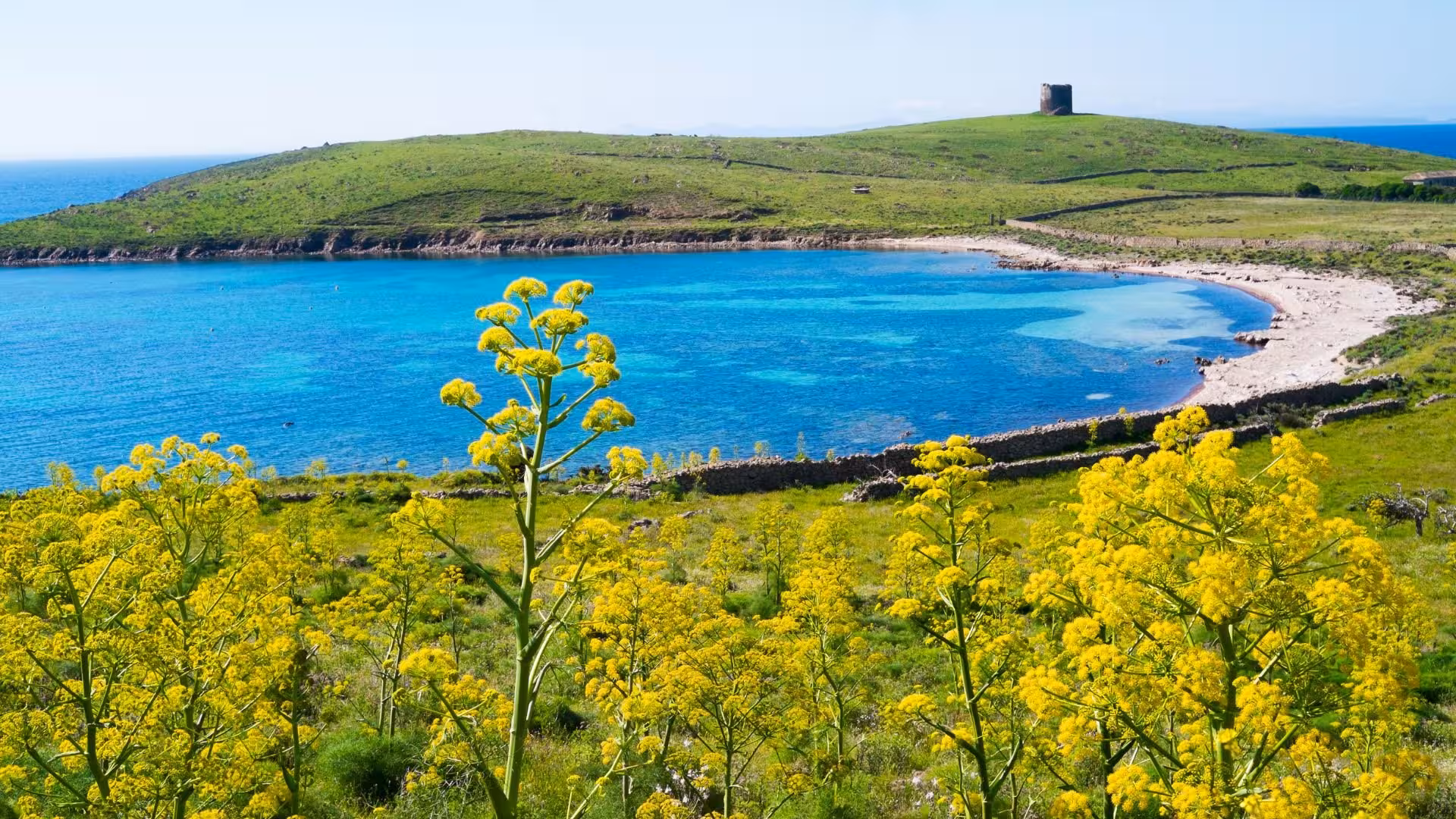 Explore Asinara's stunning coastline and vibrant wildflowers on an e-bike tour from Porto Torres.