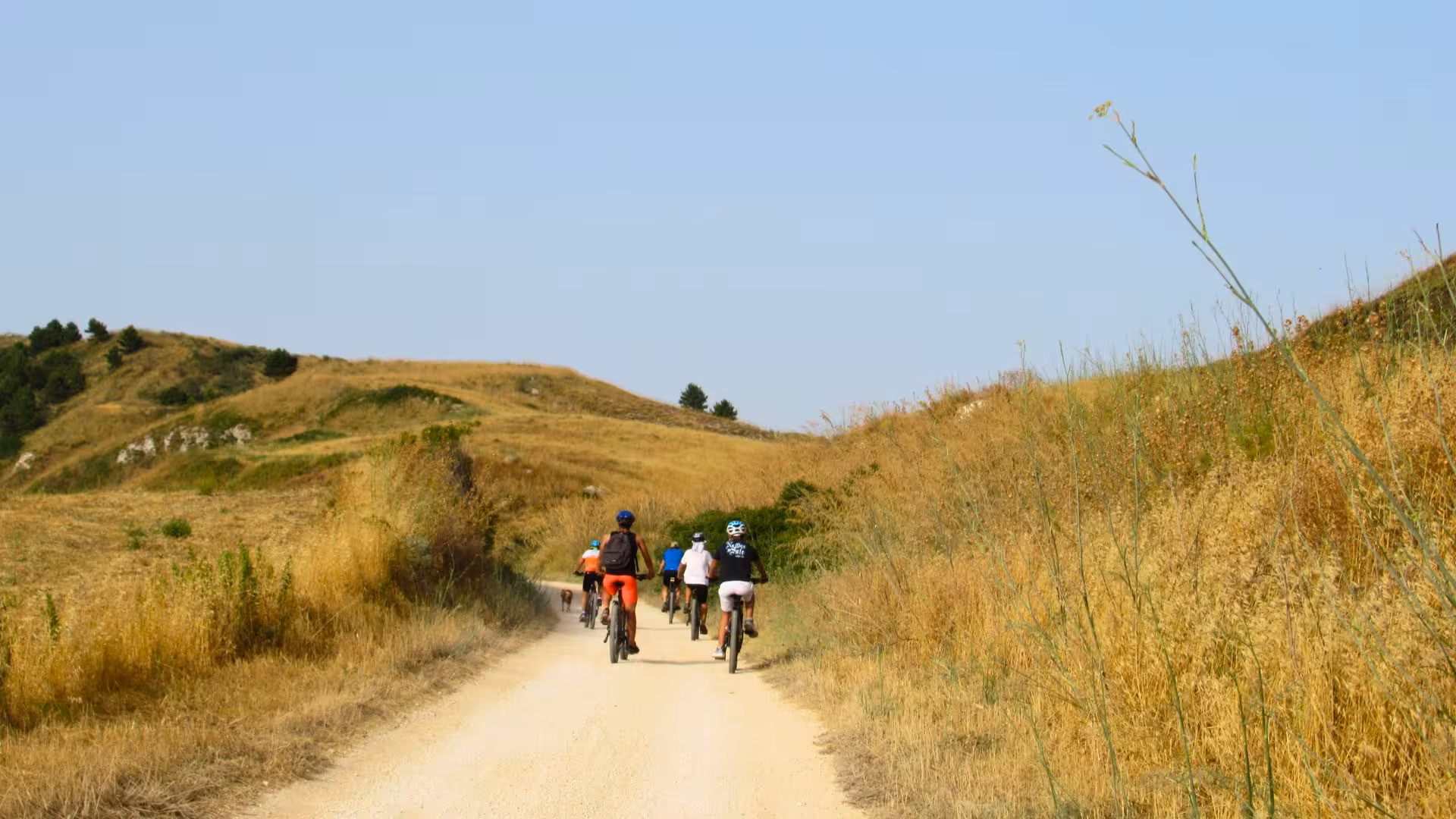 Group of cyclists explore a picturesque trail among rolling hills on an ebike tour in Castellammare del Golfo.