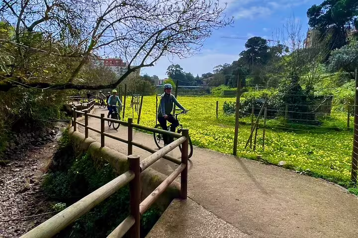Cyclist explores scenic path through lush Sintra Mountains on an e-bike tour to Cascais Sea from Lisbon.