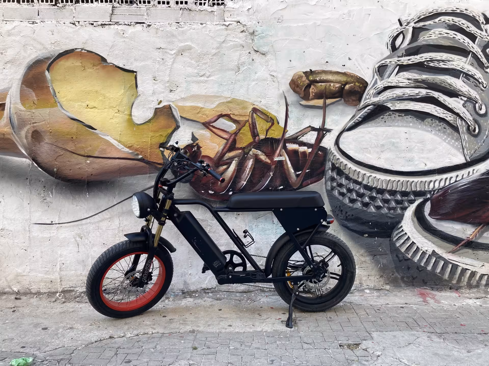 E-fat bike rental parked by street art mural, perfect for 4-hour coastal views and trail riding adventure
