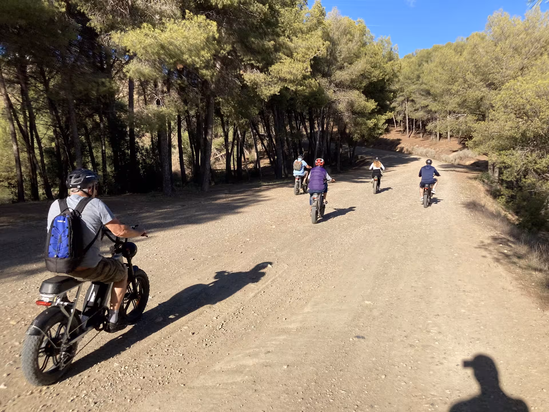 Riders on e-fat bikes cruising a forest dirt trail, ideal for a 4-hour e-bike rental with scenic routes