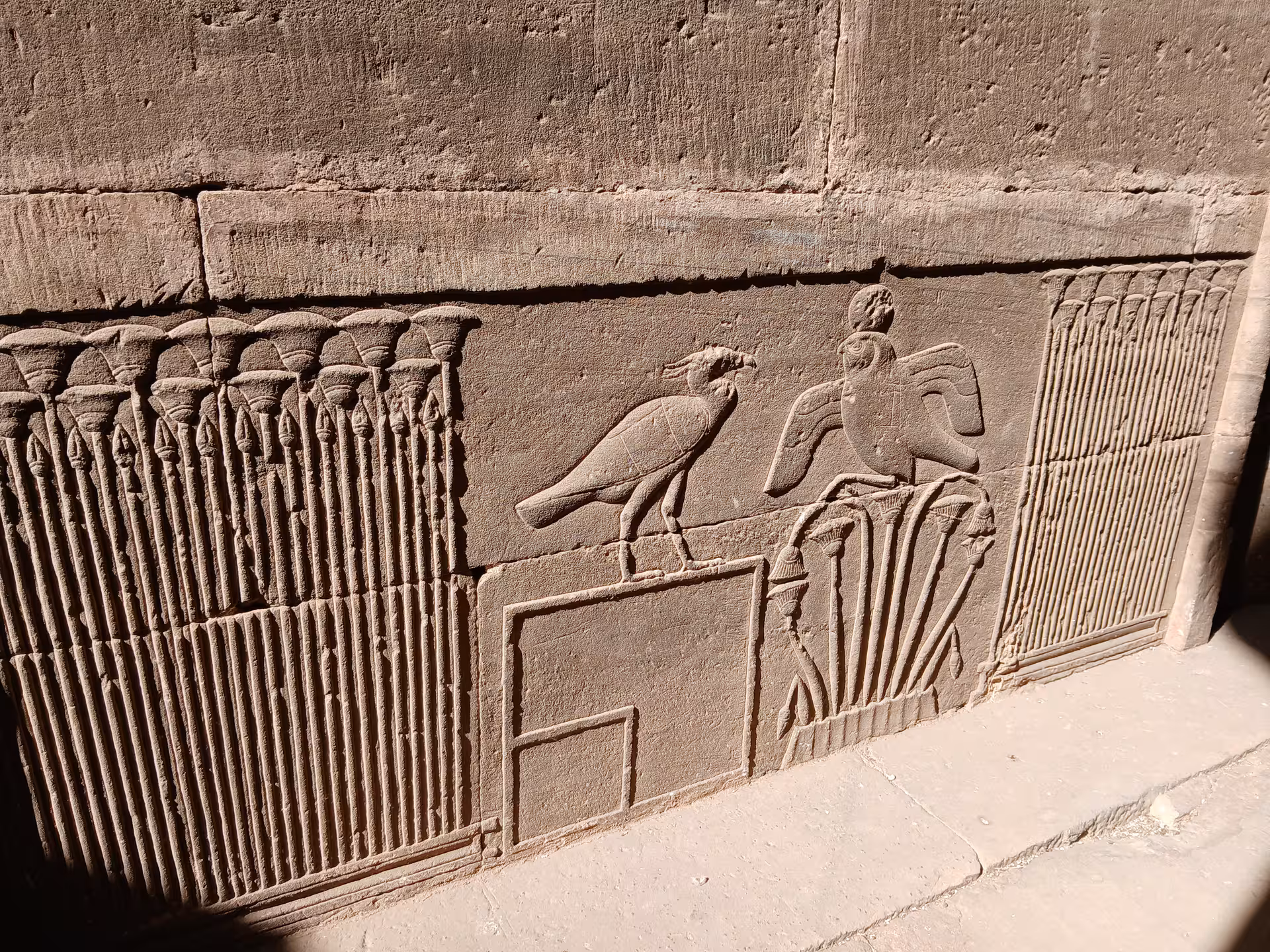 Ancient Egyptian hieroglyphs carved on a sandstone wall in Luxor, showcasing detailed symbols and birds.