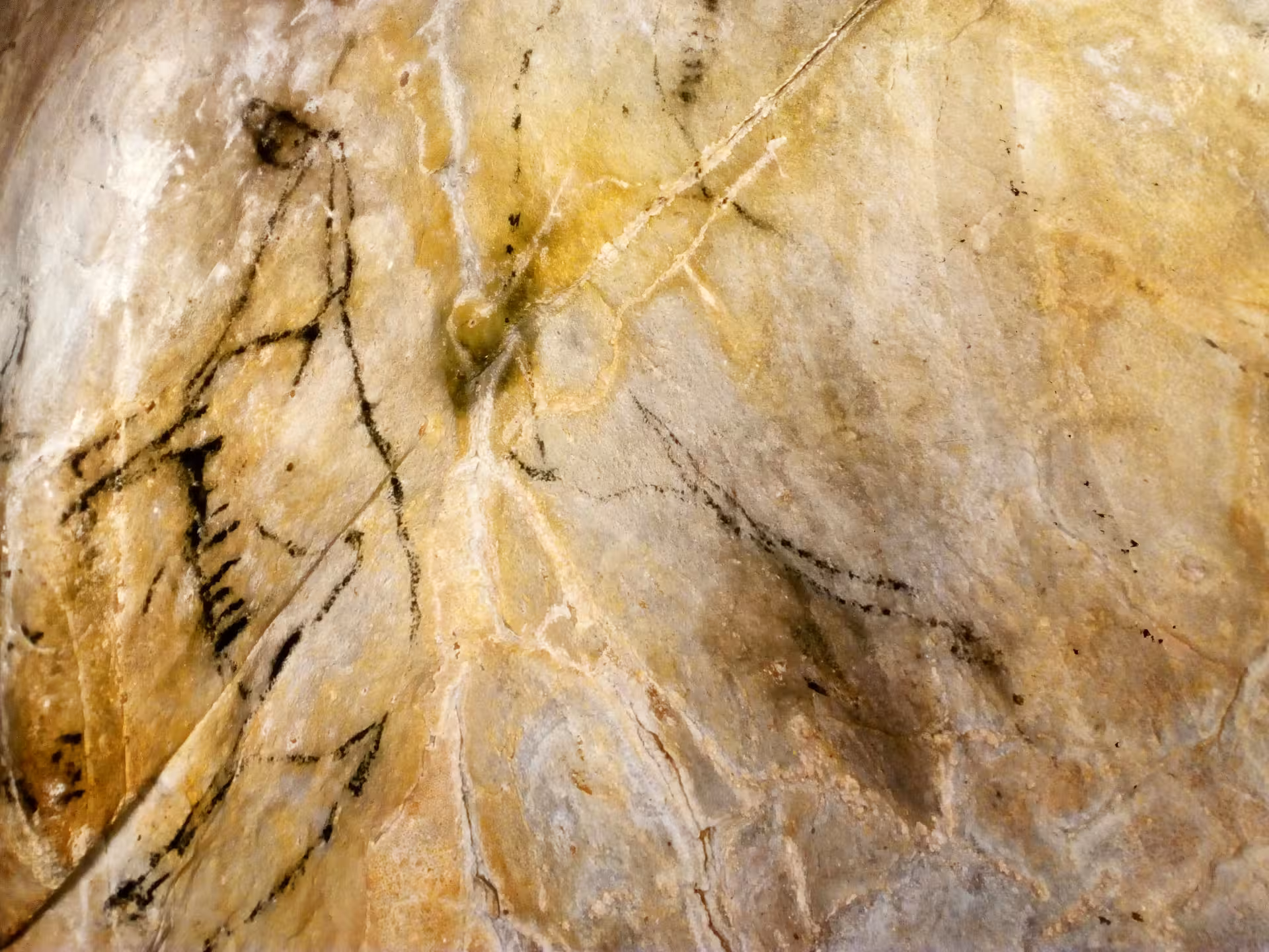Ancient rock art in El Castillo Cave showcasing prehistoric drawings on a textured stone surface.