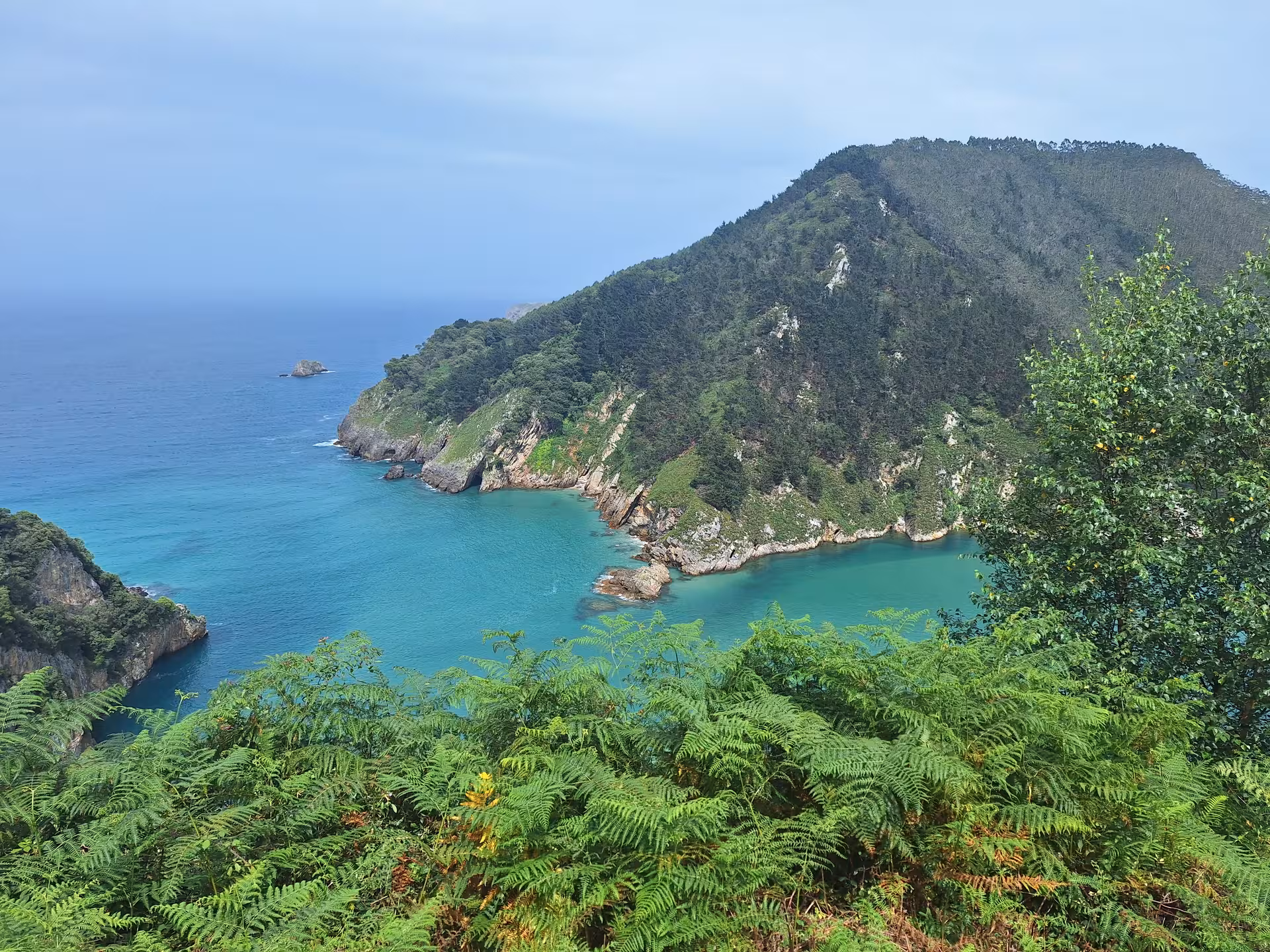 Scenic view of lush green hills and turquoise waters near El Soplao Cave, ideal for a nature tour from Santander.