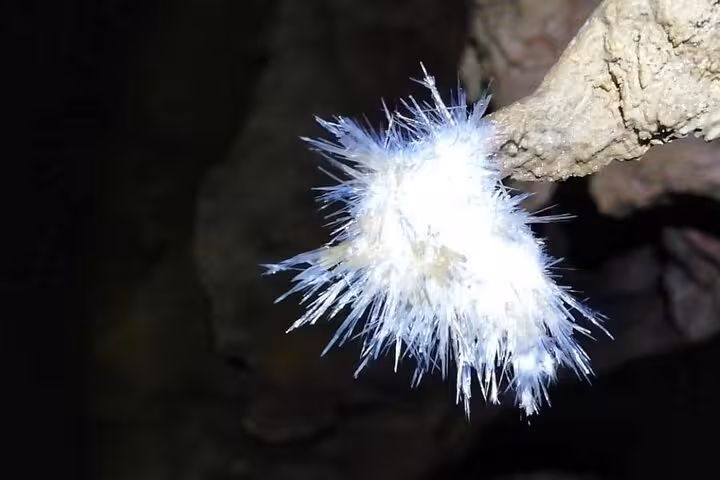 Close-up of striking white mineral formations inside El Soplao Cave, a highlight on tours from Santander.