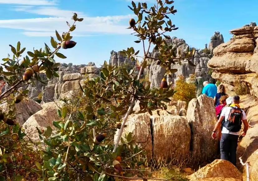 Hikers on El Torcal de Antequera karst trail, private day trip from Costa del Sol with dramatic rock formations