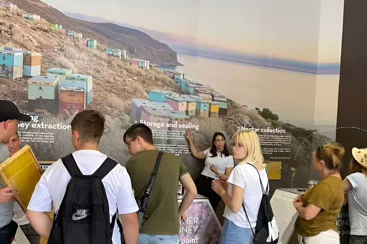 Tour group learning about honey production at Cretan Honey Experience on the Elafonisi Beach private tour.