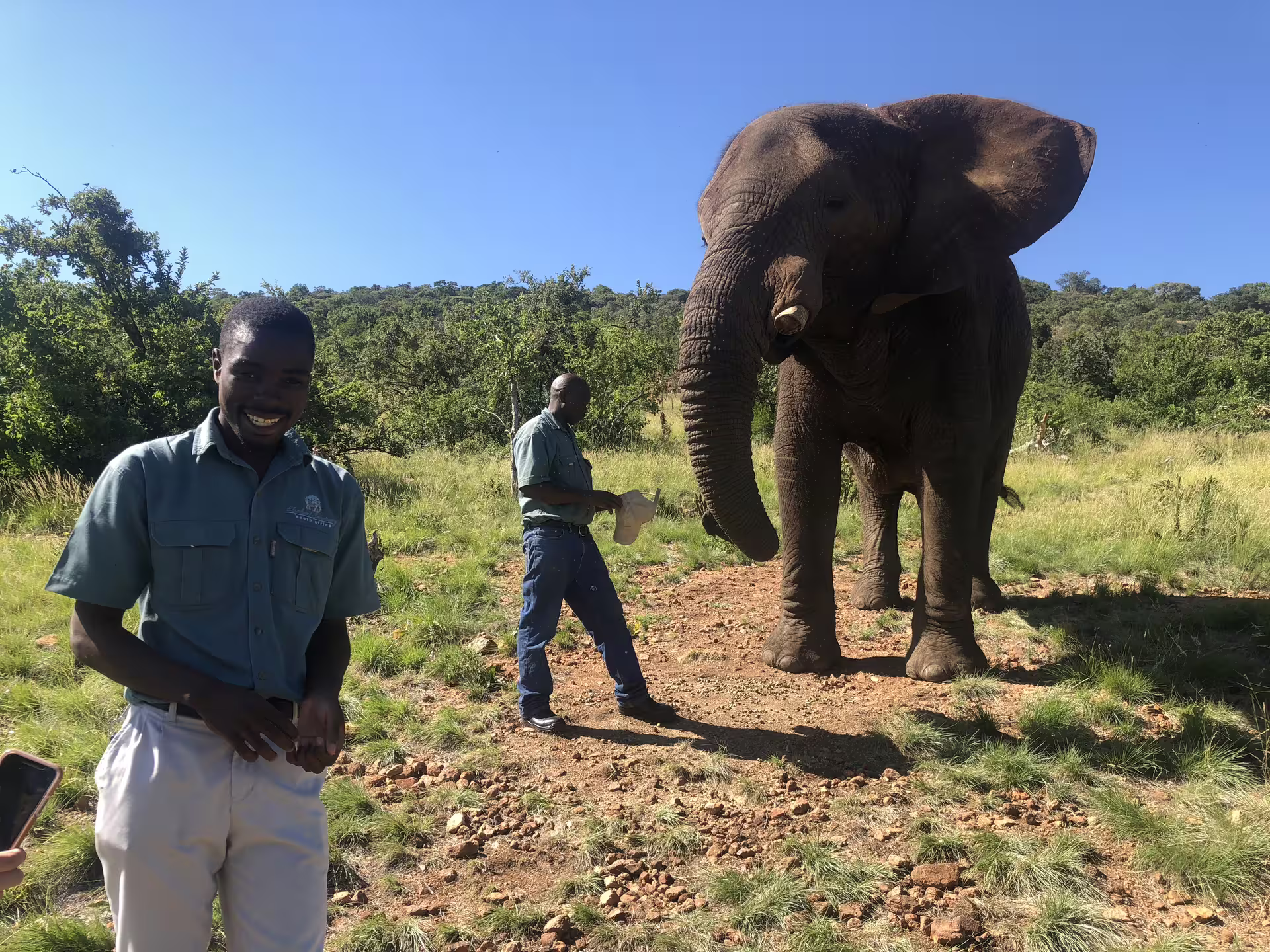 Professional Guides with Johannesburg Safari
