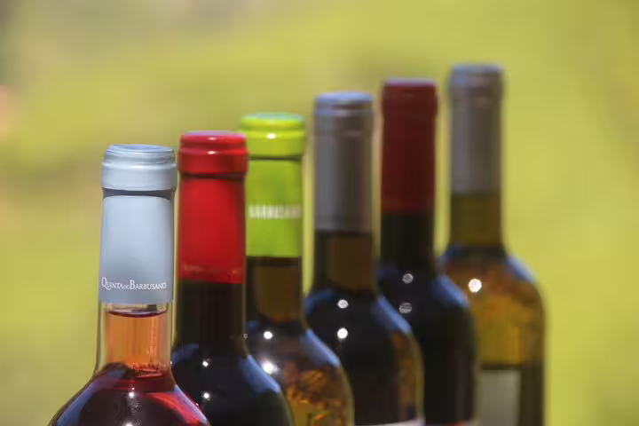 Colorful wine bottles lined up against a lush vineyard backdrop, highlighting the Enchanted Vineyards 4x4 Wine Tour experience.