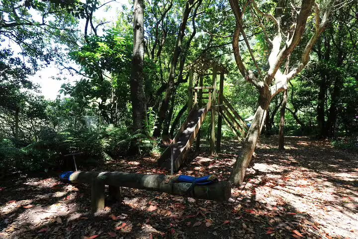Wooden playground slide nestled in lush forest setting, part of the Enchanted Vineyards Wine 4x4 Tour near Cabo Girão.