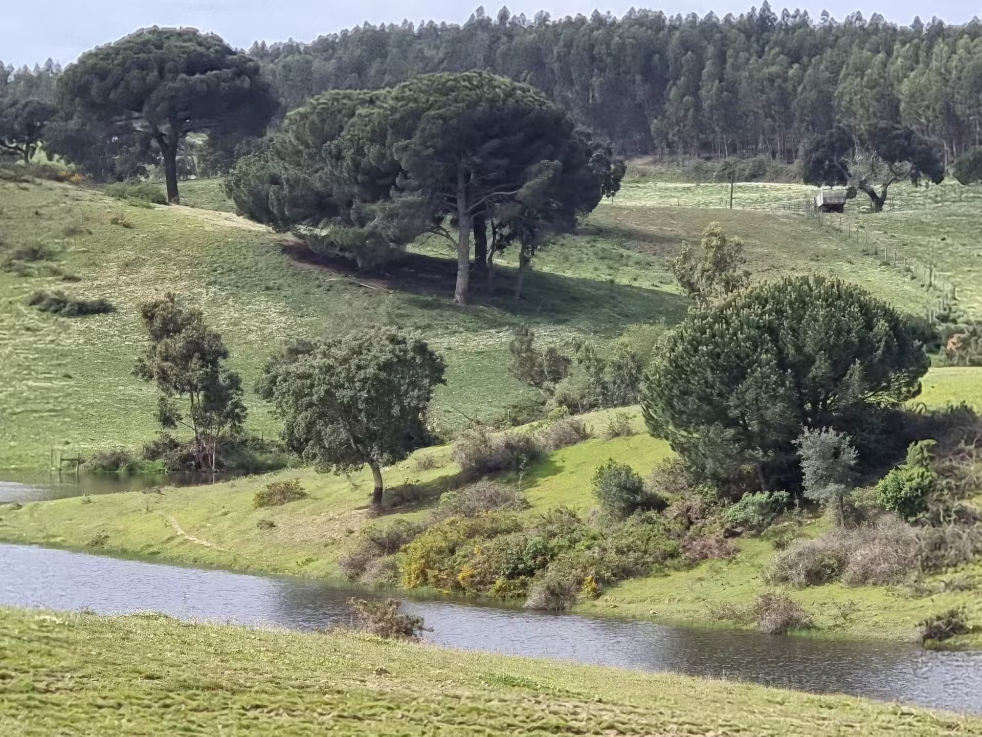 Scenic landscape with lush hills and trees, ideal backdrop for a 3-hour Enduro Tour in Carregado, Lisbon.