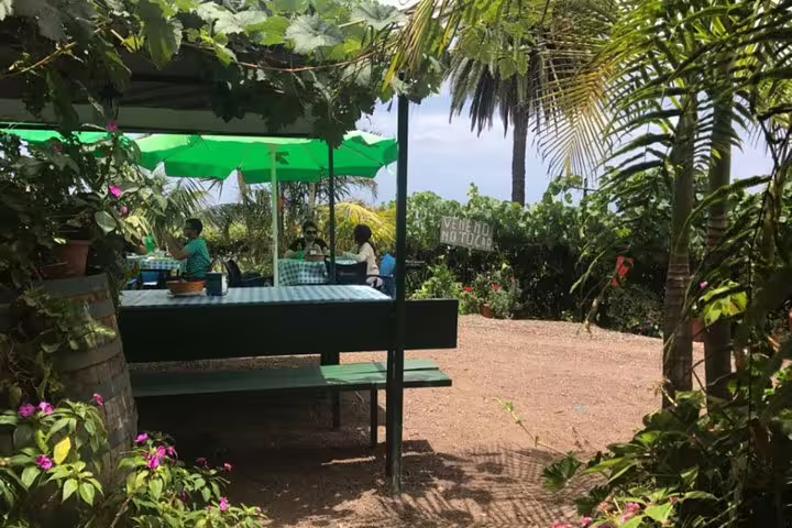Charming outdoor dining area surrounded by greenery, perfect for enogastronomic experiences in Tenerife.