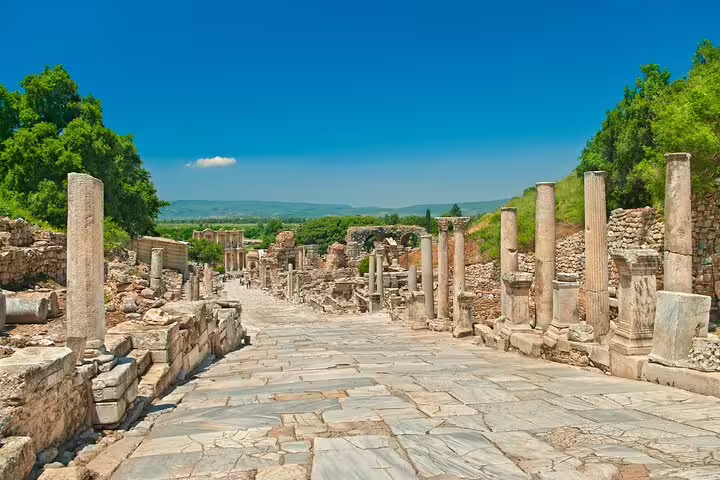 Discover the ancient stone walkway lined with columns in the historical city of Ephesus, surrounded by vibrant greenery.