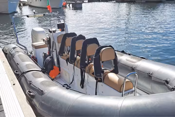 Explore marine life with ESMERALDA's private whale and dolphin watching tour on a sleek, modern inflatable boat.