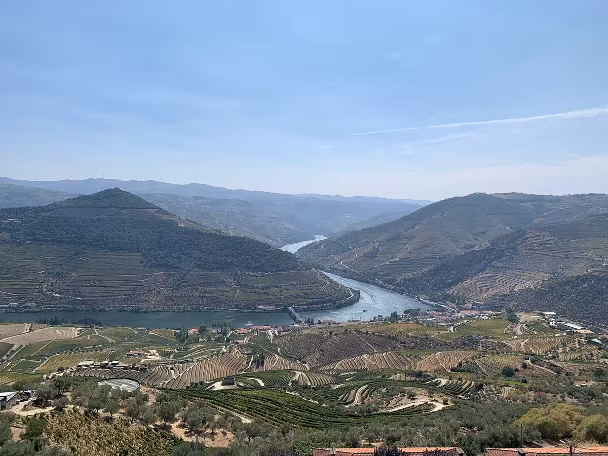 Panoramic Douro Valley terraced vineyards and winding river viewpoint on Essence Tour wine day trip