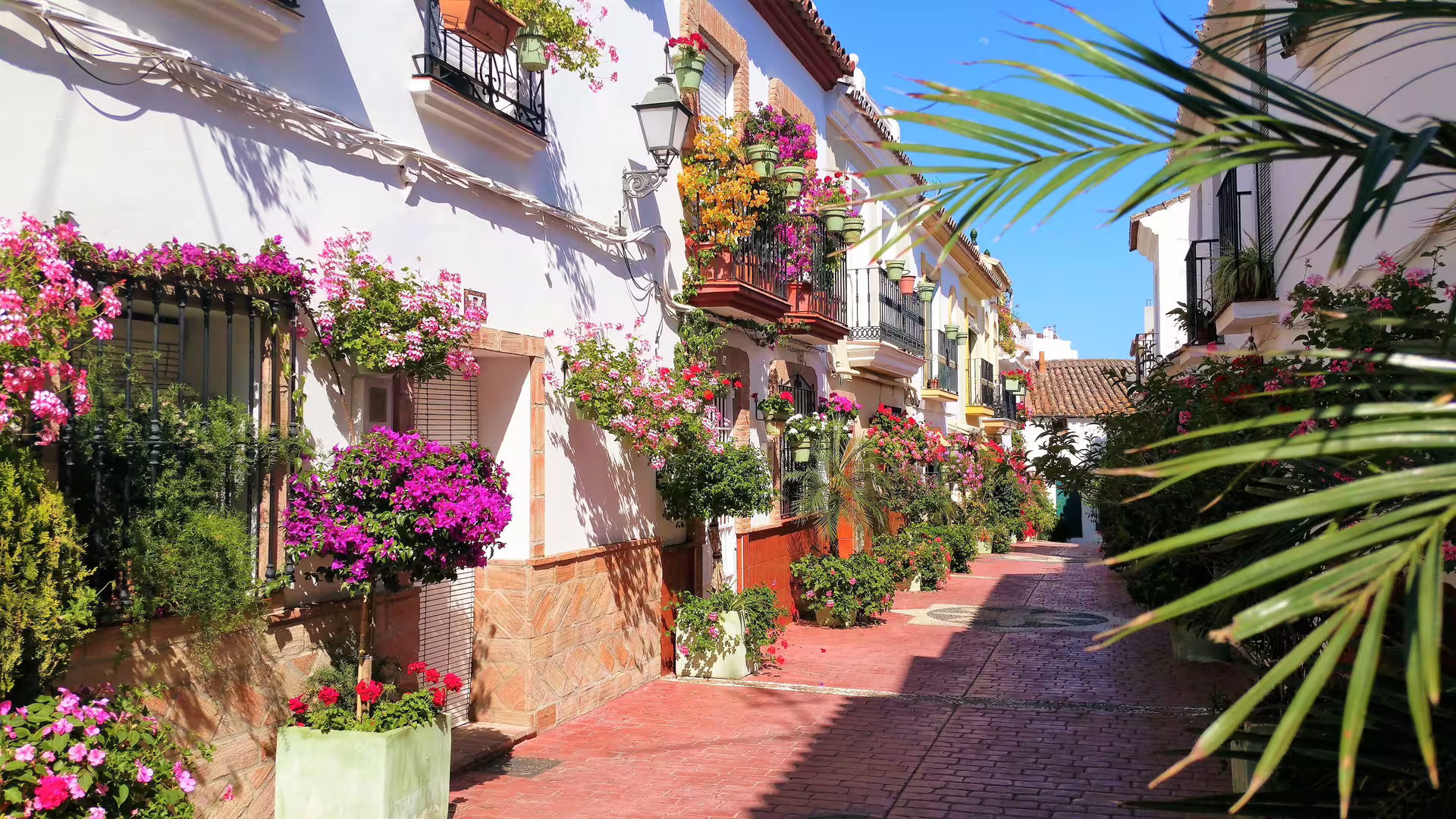 Estepona old town flower-lined street on Casares and Estepona private tour with convenient hotel pick-up