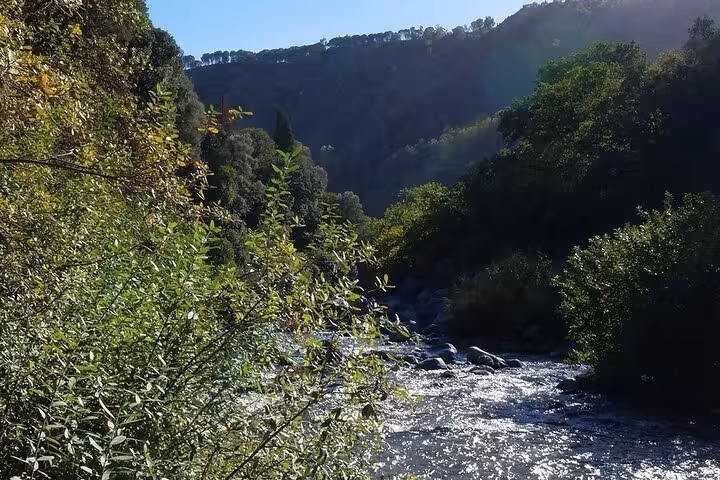 Experience the lush greenery and serene flow of the Alcantara River on the Etna and Alcantara River Tour.