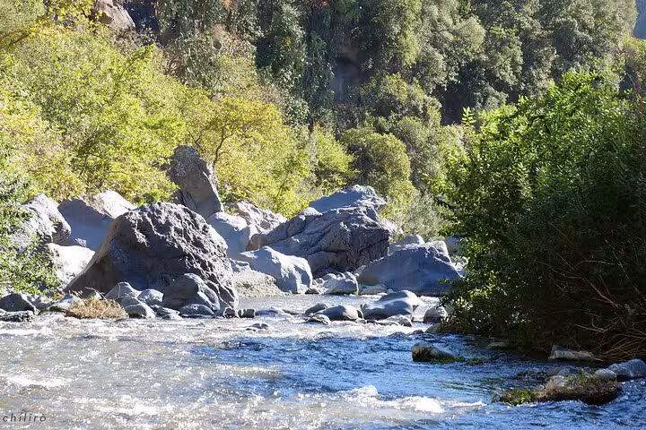 Scenic view of Alcantara River with lush greenery and volcanic rock formations, ideal for nature lovers on Etna tour.