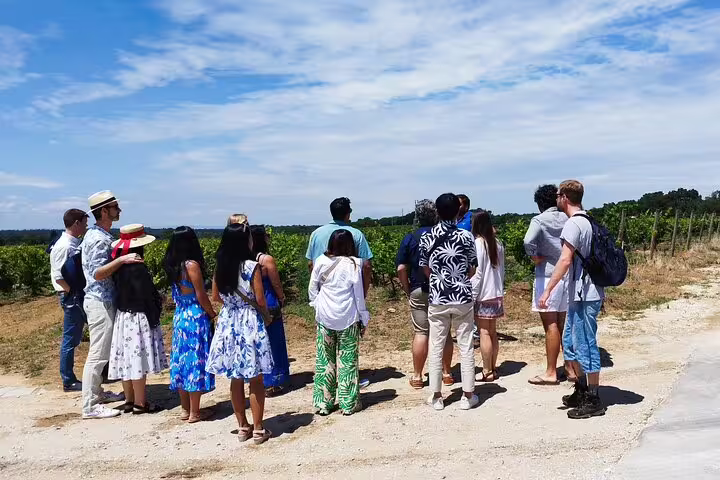 Tourists enjoying a sunny day exploring lush vineyards on the Private Full Day Évora & Alentejo Wine Tour from Lisbon.