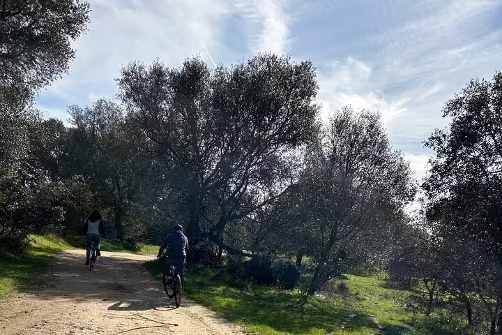Cyclists enjoying a scenic bike tour through lush greenery and sunlit trails near Évora, perfect for nature enthusiasts.