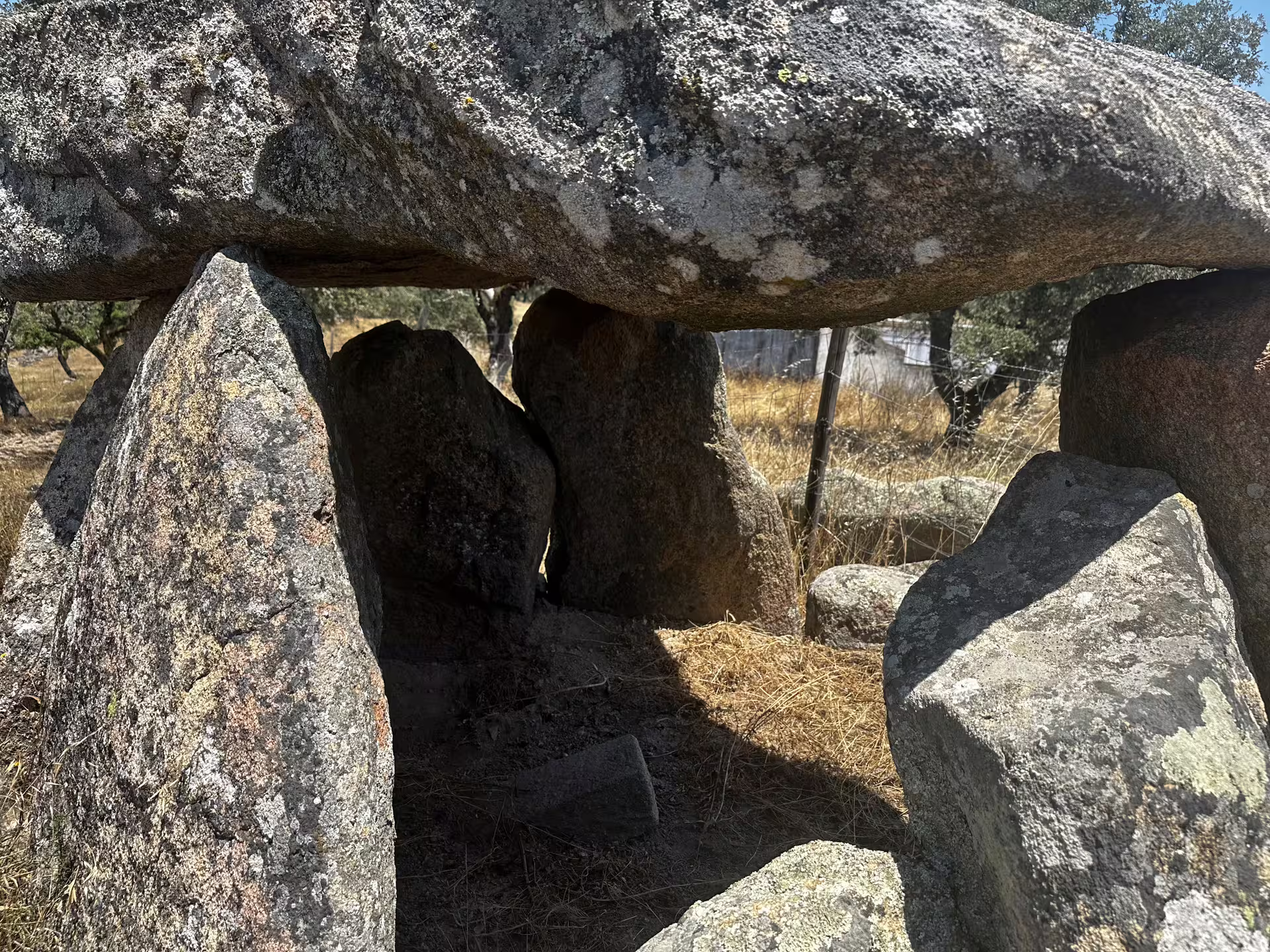 Close-up of a prehistoric dolmen structure in Évora, highlighting the rich archaeological history of the region.