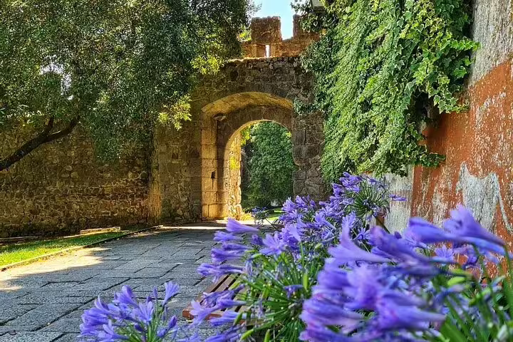 Charming medieval archway in Évora surrounded by vibrant purple flowers and lush greenery, perfect for a full-day tour from Lisbon.