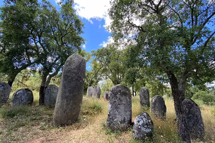 Ancient megalithic stone circles surrounded by lush trees in Évora, part of a private tour from Lisbon.