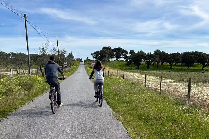 Two cyclists riding along a tranquil rural road surrounded by green fields and clear blue skies in Montemor.