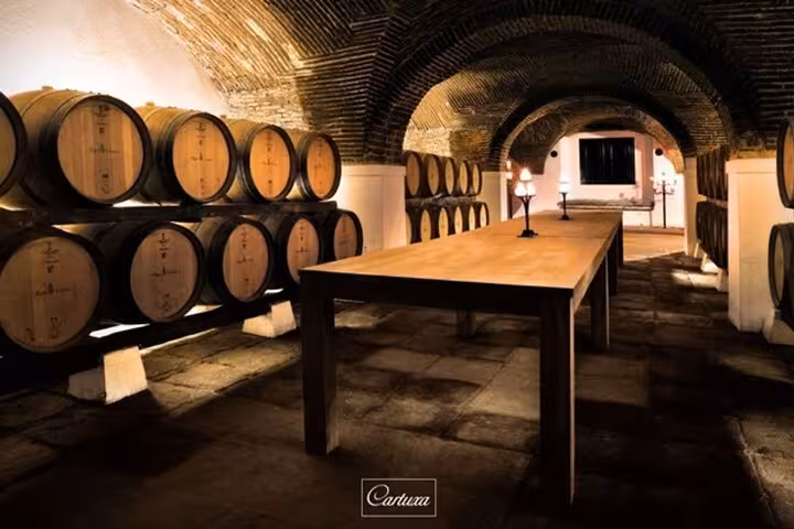 Explore the rustic charm of a historic wine cellar in Évora, featuring oak barrels and a traditional tasting table.