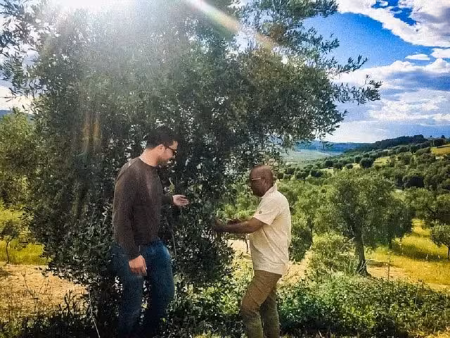 Two people explore a lush olive grove under a bright sky, highlighting an immersive extra virgin olive oil tour.
