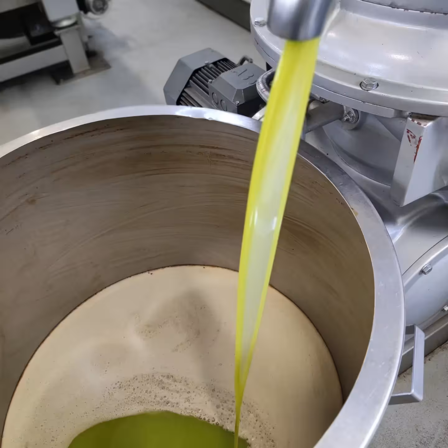 Freshly pressed extra virgin olive oil flowing into a steel vat during a hands-on tour experience.