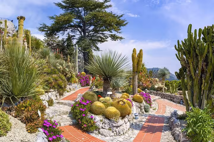 Vibrant cactus garden with diverse succulents and flowers in Eze, offering a picturesque landscape near Monaco.
