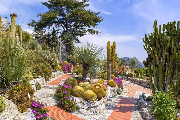 Stunning exotic garden with cacti and colorful blooms overlooking the Mediterranean in Eze, ideal for nature lovers.