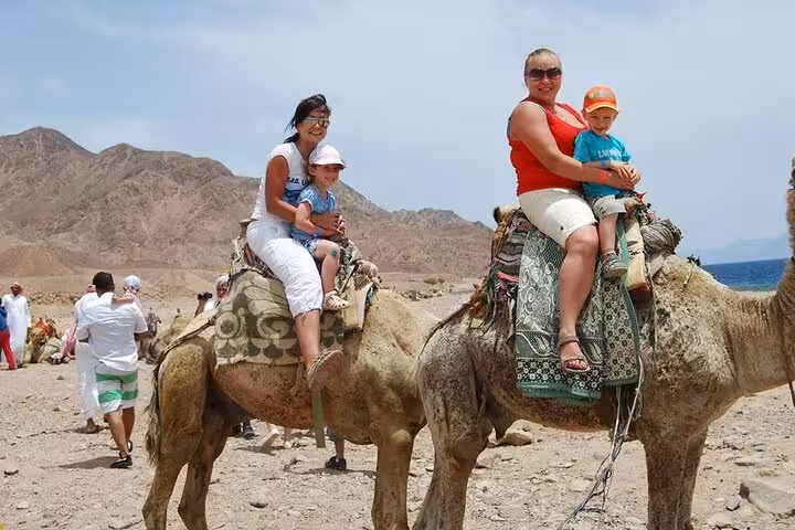 Family camel ride in Sharm El Sheikh desert by the Red Sea, part of water sports and safari tour