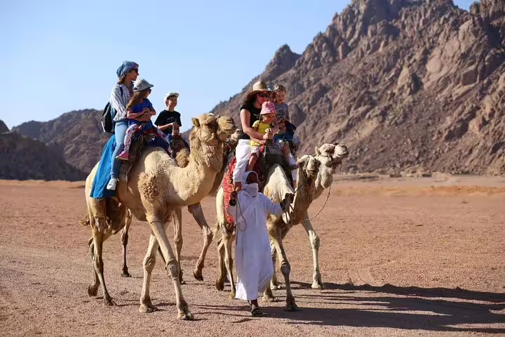 Family camel ride in Sinai Desert during Sharm El Sheikh buggy safari tour with mountains backdrop