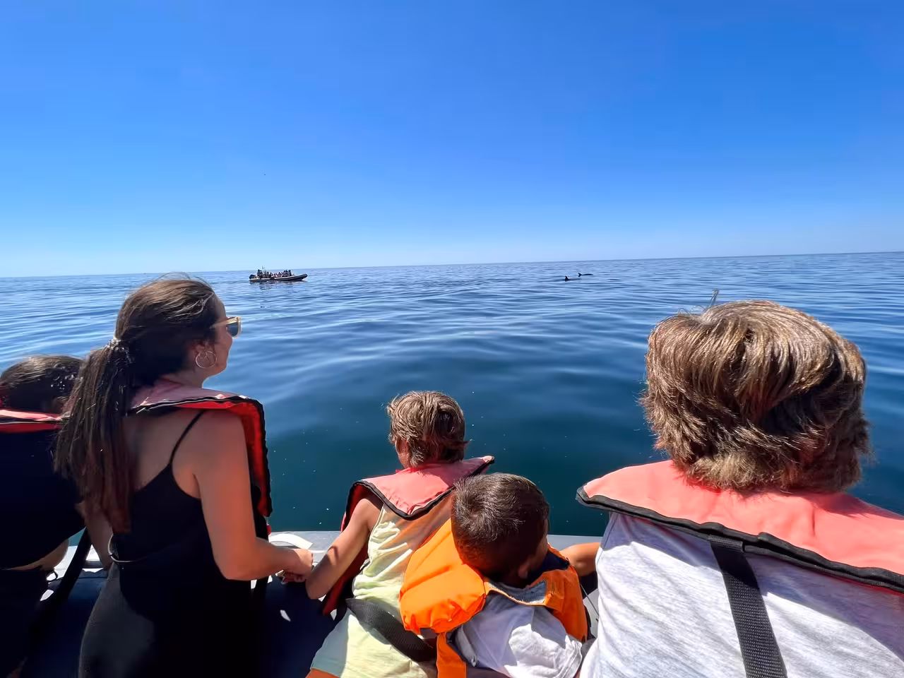 Family wearing life jackets on a RIB boat watching dolphins on a sunny private marine wildlife and dolphin tour