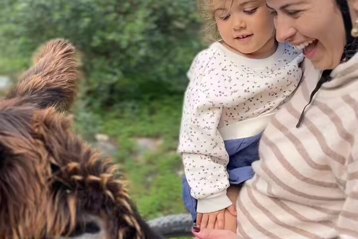 Family enjoying a close encounter with a donkey on a peaceful e-bike tour in the scenic backroads of Cascais.