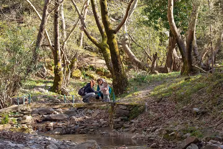 Family pauses on a stone bridge over a forest stream during the scenic Alama Spring hike in Ikaria, Greece