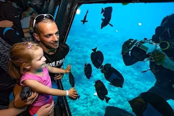 Family watching Red Sea fish and a diver through semi-submarine window on Hurghada 2-hour adventure tour