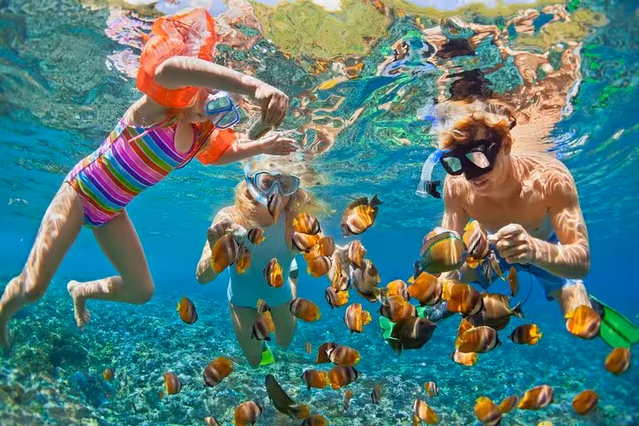 Family snorkeling in Ras Mohamed from Sharm, swimming with tropical fish over vibrant Red Sea coral reef
