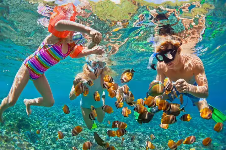Family snorkeling in Ras Mohamed near White Island, Sharm El Sheikh, with colorful Red Sea fish